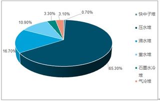 核電工程建設(shè)市場分析報(bào)告 2019 2025年中國核電工程建設(shè)行業(yè)深度研究與市場全景評估報(bào)告 