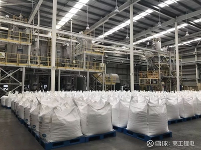 走進天齊張家港生產(chǎn)基地 波創(chuàng)電氣實地評估智能制造新風(fēng)貌